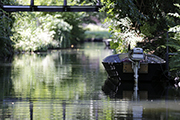 Spreewald